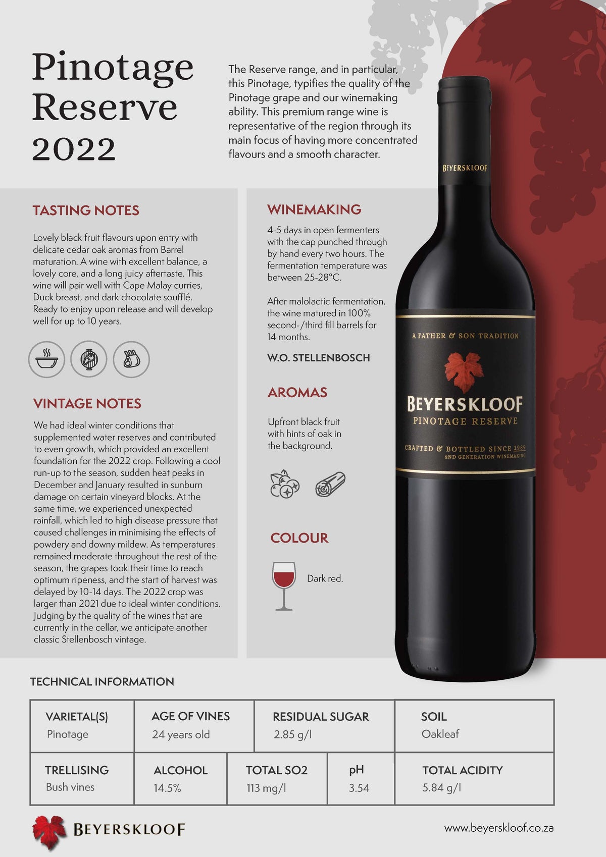 Beyerskloof Pinotage Reserve 2022